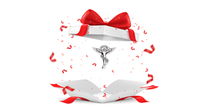 Carrolltown chiropractic care as  a gift