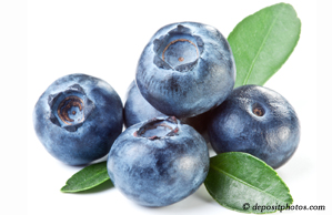 Carrolltown chiropractic and nutritious blueberries